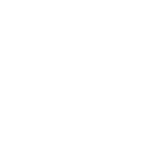Fusion Bricks EG